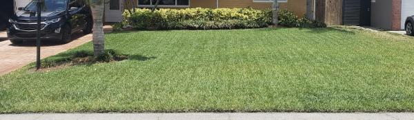 Lawn Squad Lawn Care