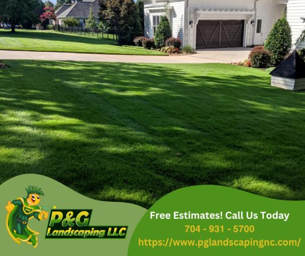 P&G Landscaping LLC / Lawn Care