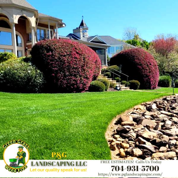 P&G Landscaping LLC / Lawn Care