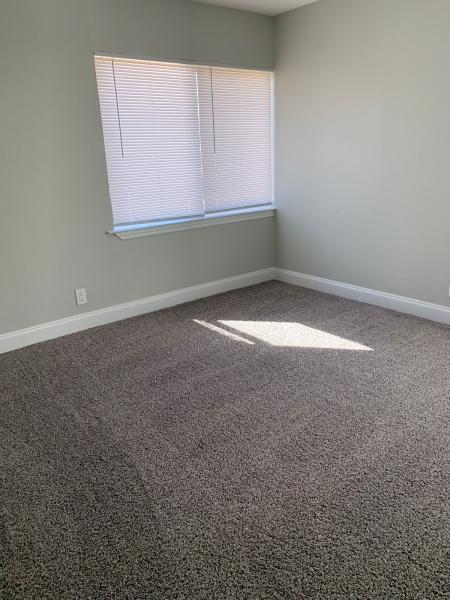 Carpet Solutions