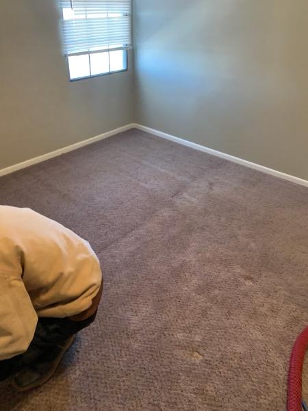 Carpet Solutions