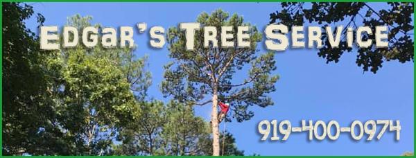 Edgar's Tree Service
