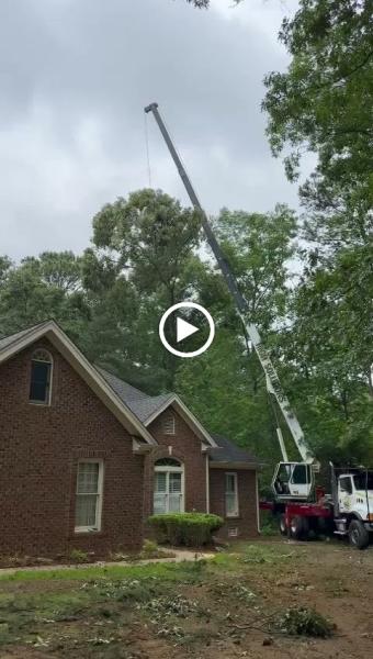 Edgar's Tree Service