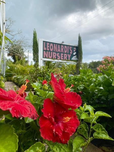 Leonardi's Nursery Landscaping