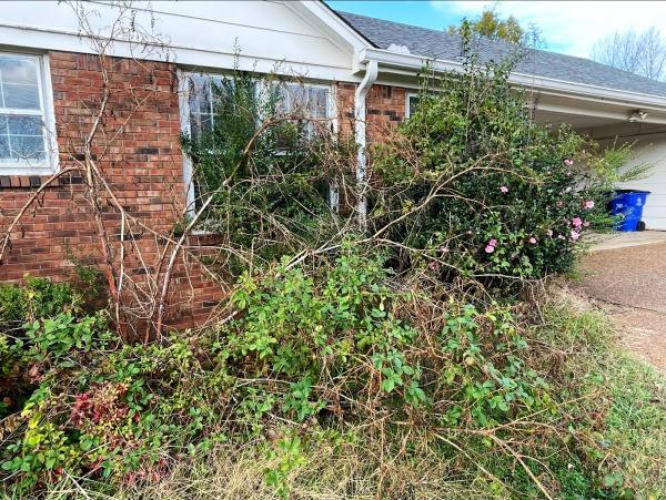 Meadow Landscaping and Lawn Care