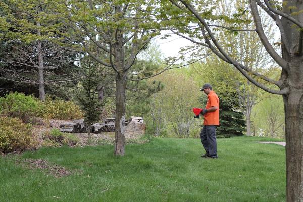 Rove Pest Control
