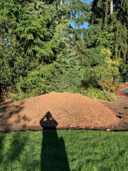 J & J Stump Grinding