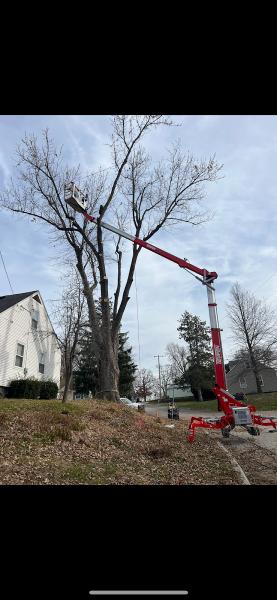 Arbor Pro Tree Service