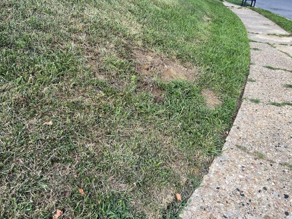 Gogreen Landscaping LLC