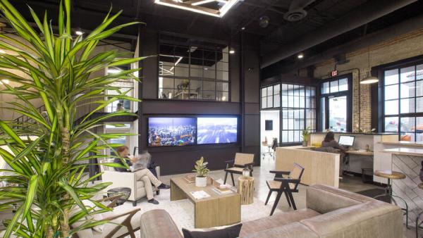 Root Architects