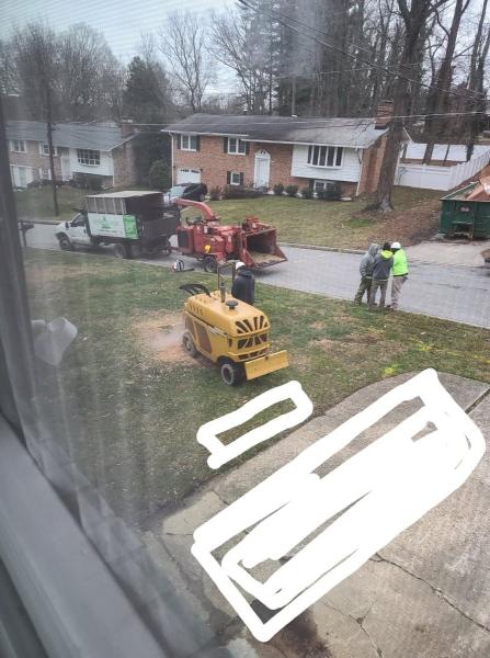 Southern Tree Service