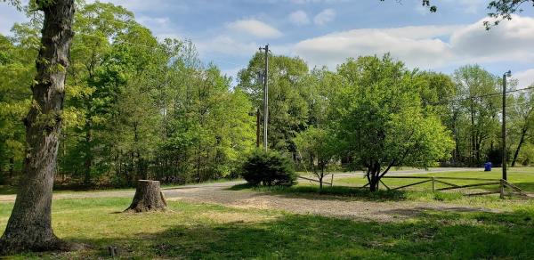 Southern Tree Service