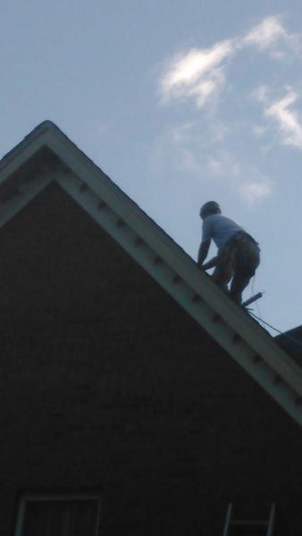 Wildlife Company Llc.