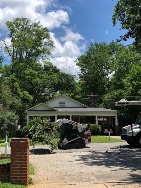 Tidwell's Tree Service