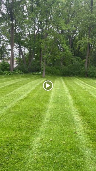 Corbin Landscaping and Lawn Care