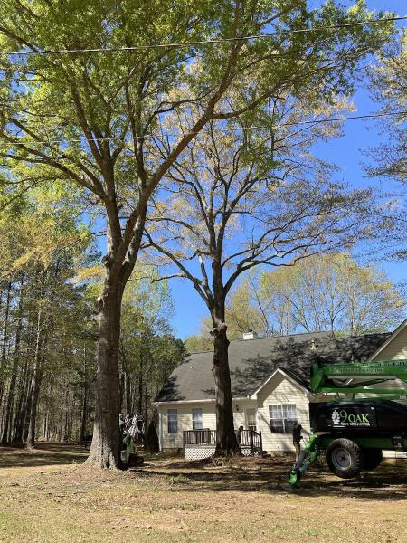 9 Oak Tree Service Inc.