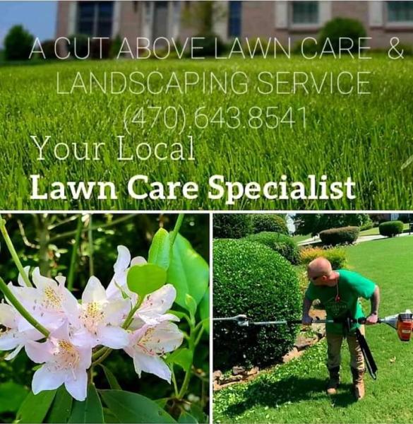 A CUT Above Lawn Care Service