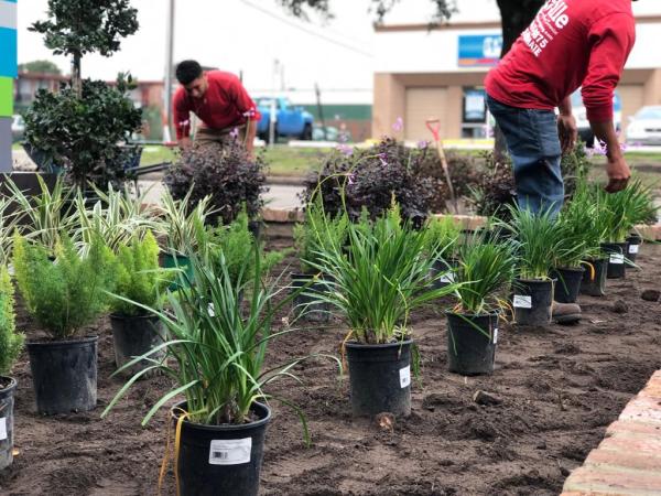 La Salle Landscaping