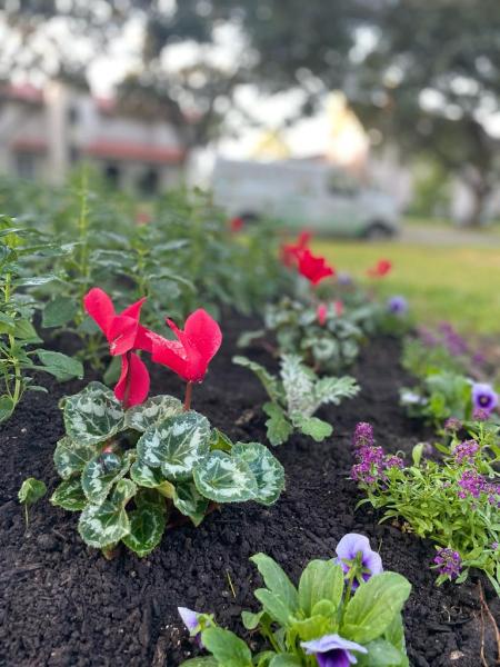 La Salle Landscaping