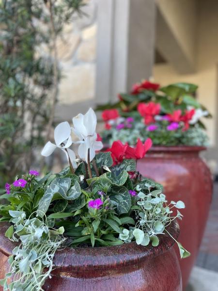 La Salle Landscaping