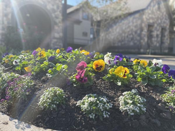 La Salle Landscaping