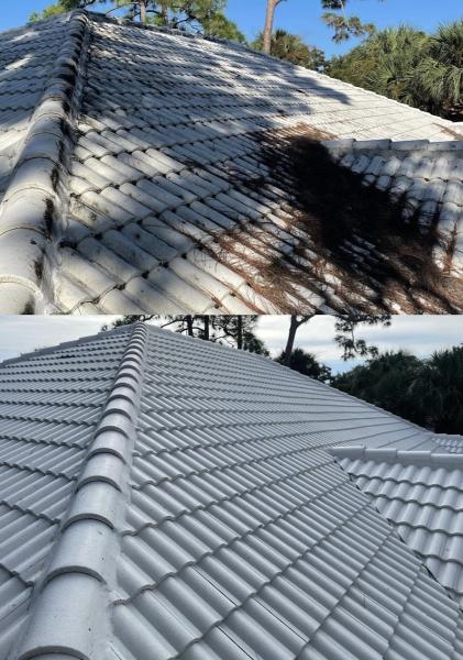 Complete Clean Pressure Wash