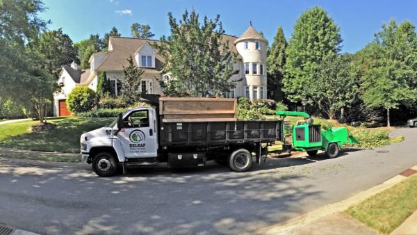 Releaf Tree Works