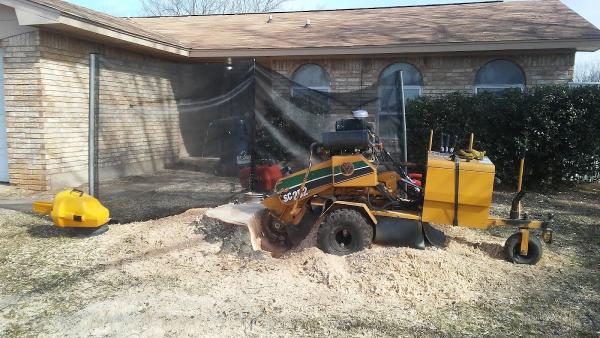 Pro Trim Tree Service