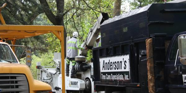 Anderson's Tree Care Specialists