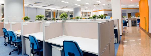 Real Dream House and Office Cleaning Services