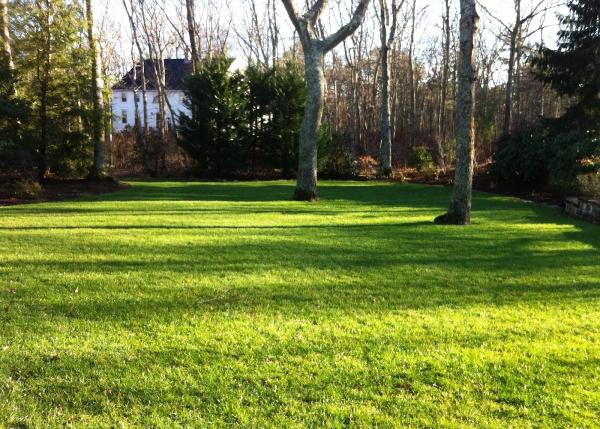 Nature Guard Lawn and Plant Care