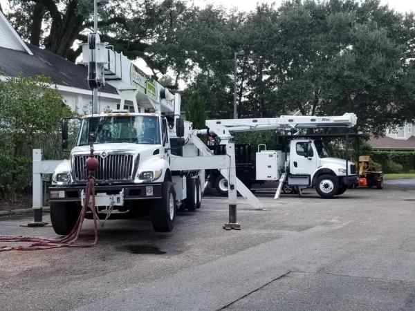 Chestang Tree Service