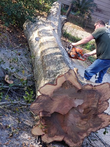 Chestang Tree Service