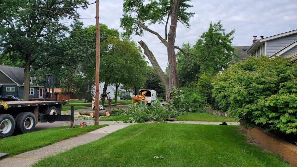 JCS Tree Services