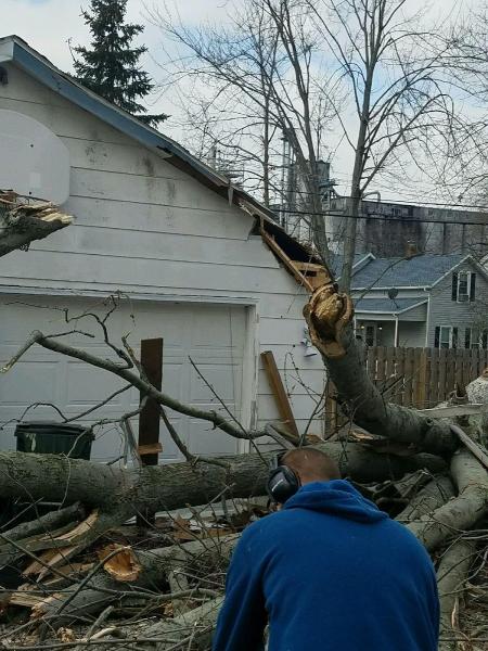 Dennis Tree Service