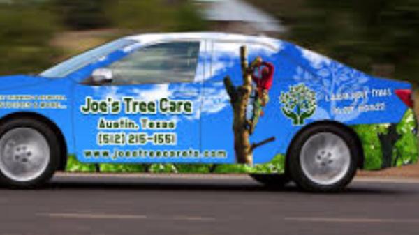 Joe's Tree Care