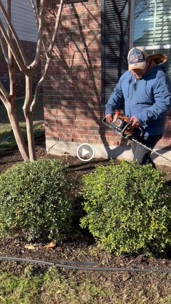 Joe's Tree Care
