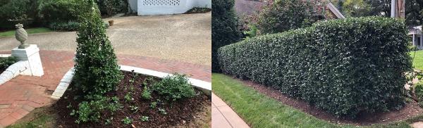 Uribe Landscaping Llc