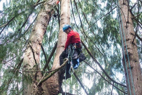 Canopy Solutions