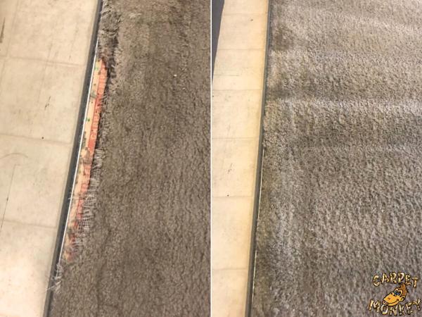 Carpet Monkey
