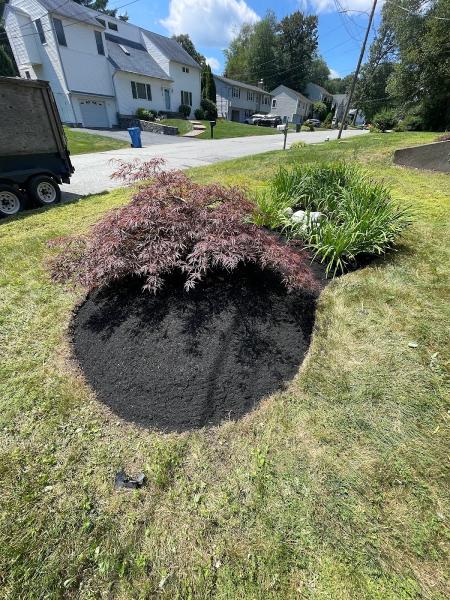 Above All Landscaping LLC