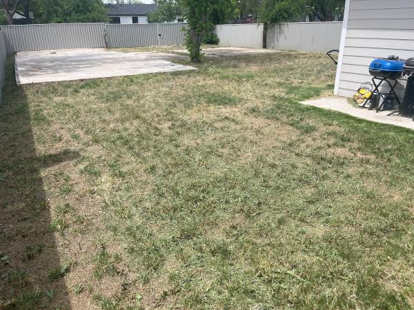 Gonzalez Lawn Care and Maintenance