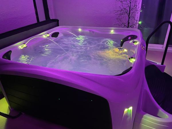 Reign SPA Repair