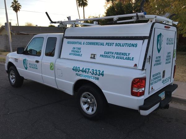 Peacock Pest Solutions