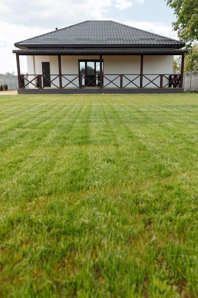 Greenbeard Lawn Care