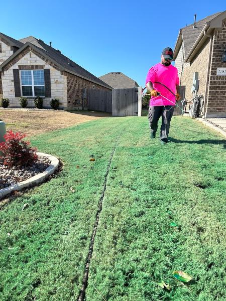 Lemonade Lawn Care