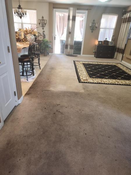 All Pro Carpet Steamers