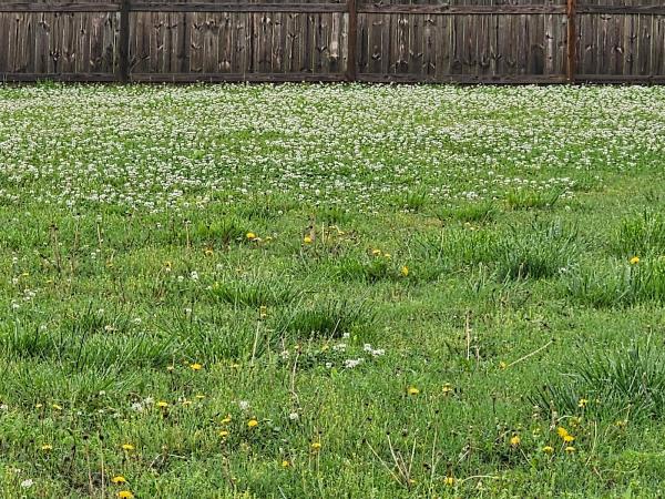 Dukes Lawncare