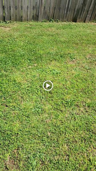 Dukes Lawncare