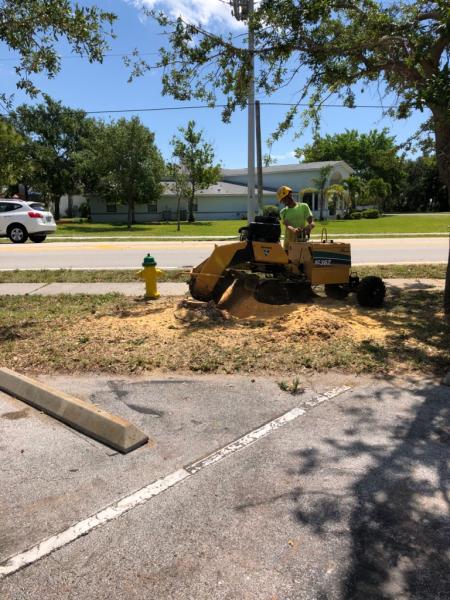 Jenkins Tree Service